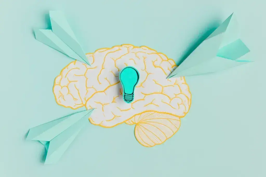 El aporte de la Neuroplasticidad en las personas y las organizaciones